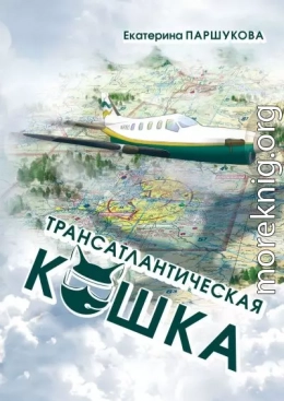 Трансатлантическая кошка