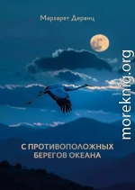 С противоположных берегов океана. Рассказы, роман