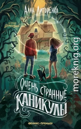 Очень странные каникулы