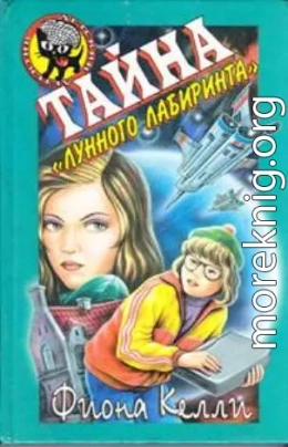 Тайна «Лунного лабиринта»