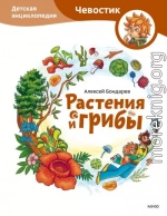 Растения и грибы. Детская энциклопедия