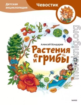 Растения и грибы. Детская энциклопедия