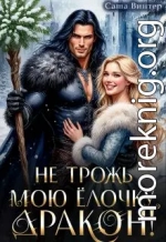 Не трожь мою ёлочку, дракон!