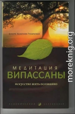 Медитация випассана. Искусство жить осознанно