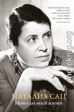 Новеллы моей жизни