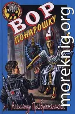 Вор понарошку