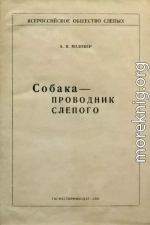 Собака-проводник слепого