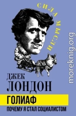Голиаф. Почему я стал социалистом