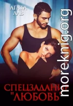 Спецзадание 