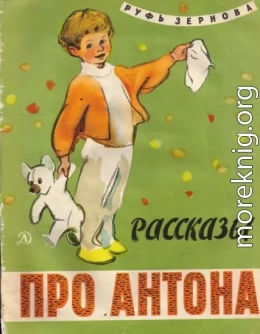 Рассказы про Антона