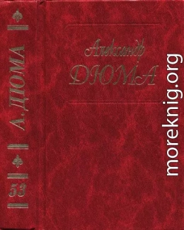 Роман Виолетты