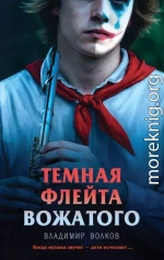 Темная флейта вожатого