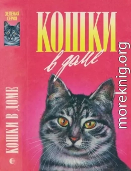 Кошки в доме. Кошки в мае. Дайте кошке слово