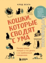 Кошки, которые сводят с ума. Почему кошки психуют и что делать с их проблемным поведением