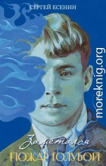 Заметался пожар голубой