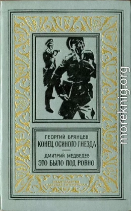 Конец осиного гнезда. Это было под Ровно