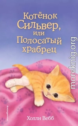Котёнок Сильвер, или Полосатый храбрец