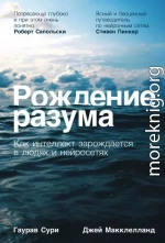 Рождение разума: Как интеллект зарождается в людях и нейросетях