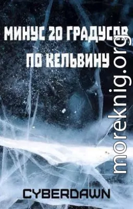 Минус двадцать градусов по Кельвину (СИ)