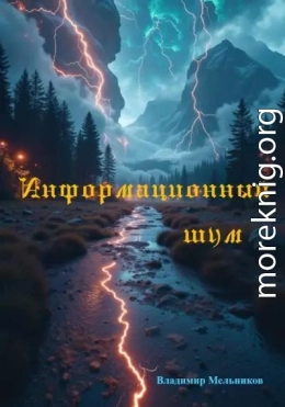 Информационный шум