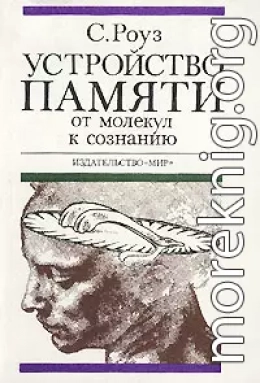 Устройство памяти. От молекул к сознанию.