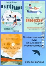 Профессиональный путь: от выгорания к самореализации. Сборник