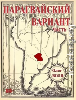 Парагвайский вариант. Часть 1