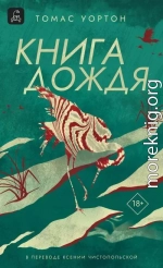 Книга дождя
