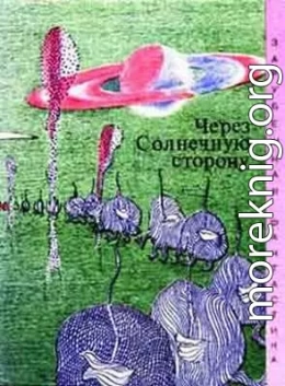 Через cолнечную сторону (Сборник)