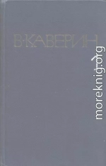 Скандалист, или вечера на Васильевском острове