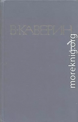 Скандалист, или вечера на Васильевском острове