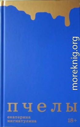 Пчелы