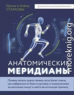 Анатомические меридианы. Почему лечить нужно печень, если болят плечи, как избавиться от боли в суставах и позвоночнике за несколько минут и найти ее истинную причину