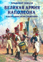 Великая армия Наполеона в Бородинском сражении