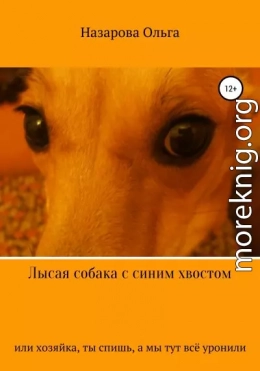 Лысая собака с синим хвостом, или хозяйка, ты спишь, а мы тут всё уронили!