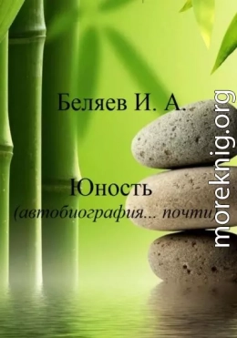 Юность. Автобиография… почти. Книга вторая. Цикл «Додекаэдр. Серебряный аддон»