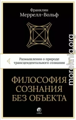 Философия сознания без объекта. Размышления о природе трансцендентального сознания