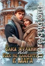 Елка желаний или Как не влюбиться в мага