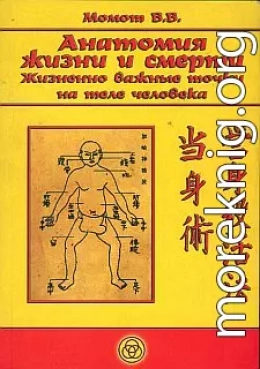 Анатомия жизни и смерти. Жизненно важные точки на теле человека