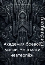 Академия боевой магии. Уж в маги невтерпёж!