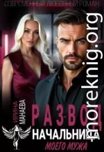 Развод. Начальница моего мужа