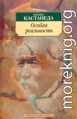 Особая реальность (перевод Останина и Пахомова)