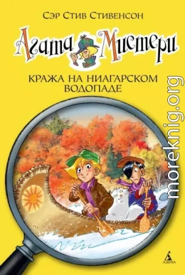 Агата Мистери. Кража на Ниагарском водопаде