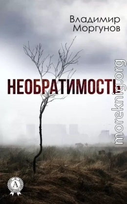 Необратимость