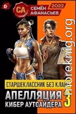 Старшеклассник без клана. Апелляция кибер аутсайдера 3 (СИ)