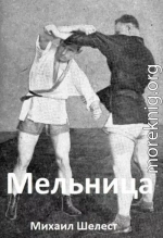 Мельница 3