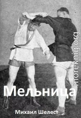 Мельница 3