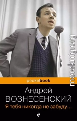 Я тебя никогда не забуду…