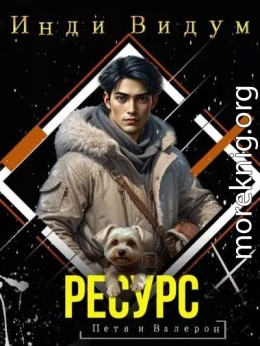 Ресурс