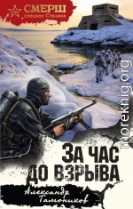 За час до взрыва